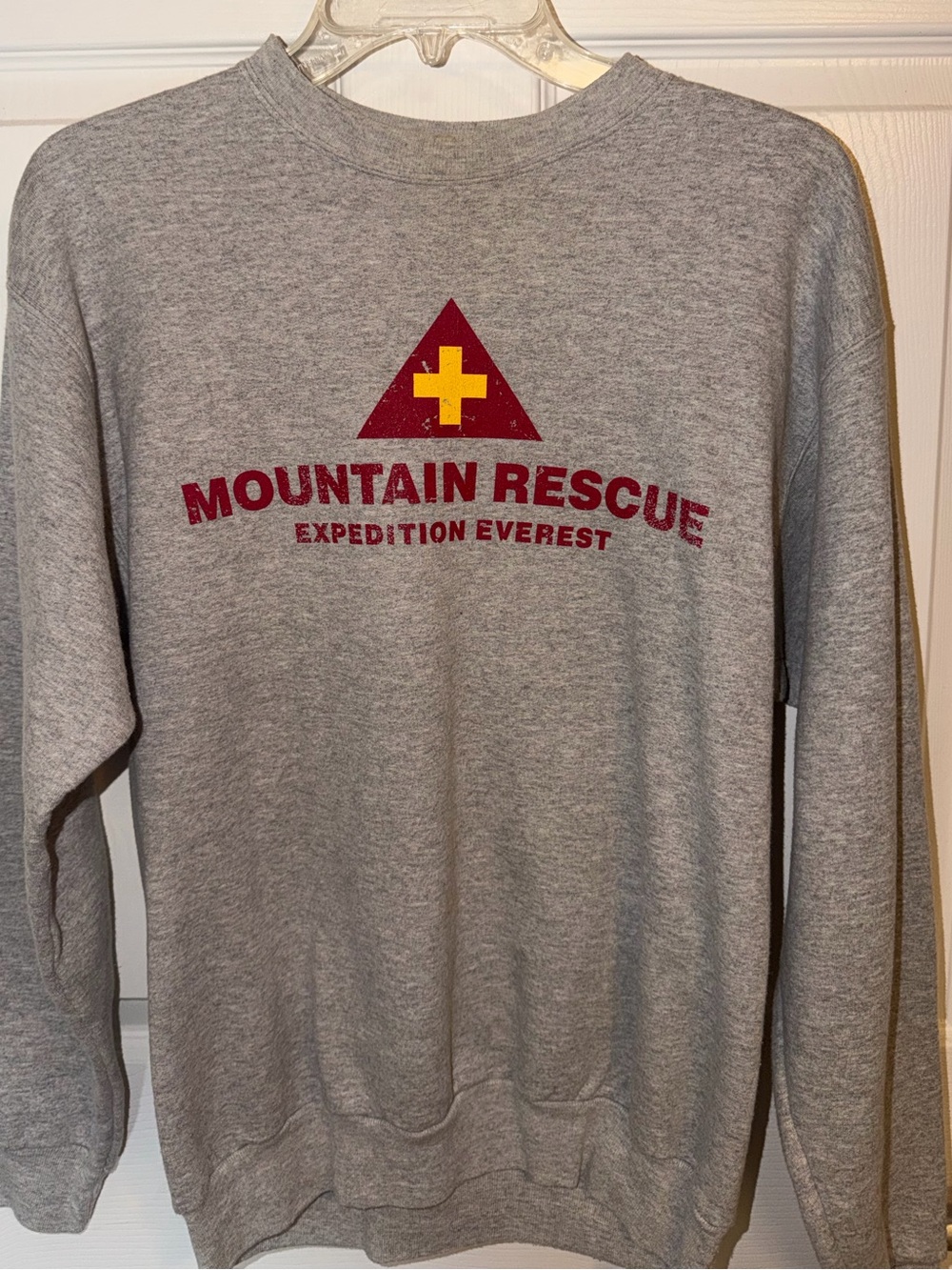 🗻Disney Animal Kingdom Expedition Everest Crewneck [Adult Small]🗻